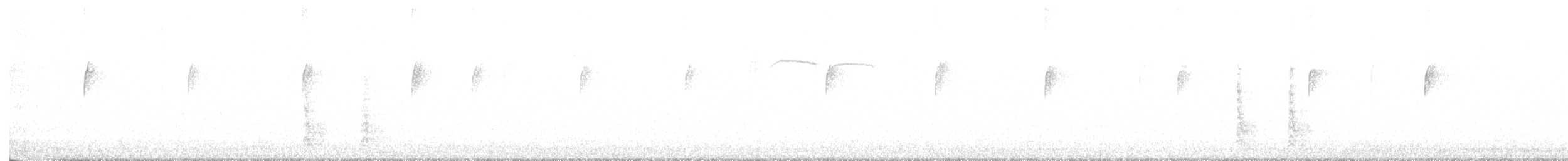 Red-bellied Woodpecker - ML644366848