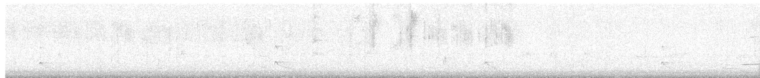 bird sp. - ML644367366