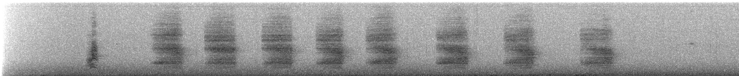 Steller's Jay (Southwest Interior) - ML644367821