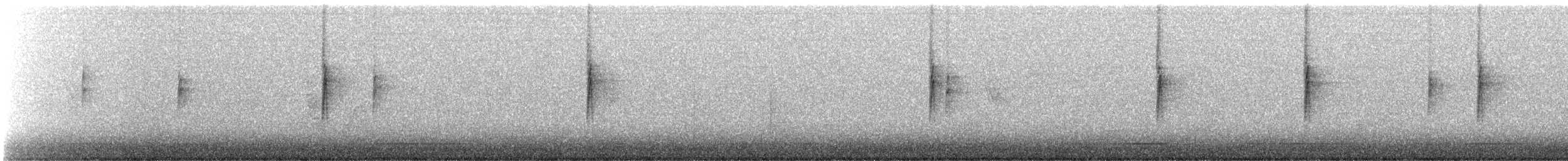 Yellow-rumped Warbler (Audubon's) - ML644367897