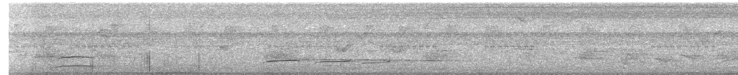 Planalto Tyrannulet - ML644367998