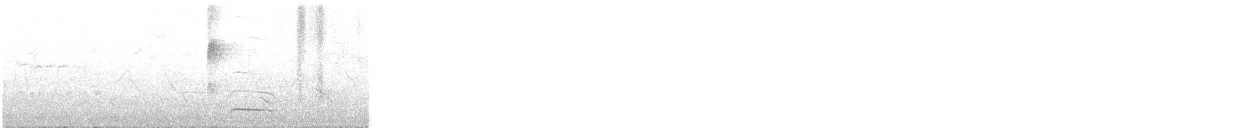 Swainson's Flycatcher - ML644368813