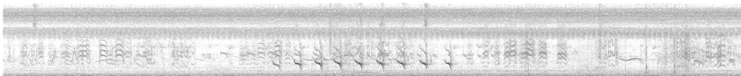 Great Antshrike - ML644371073