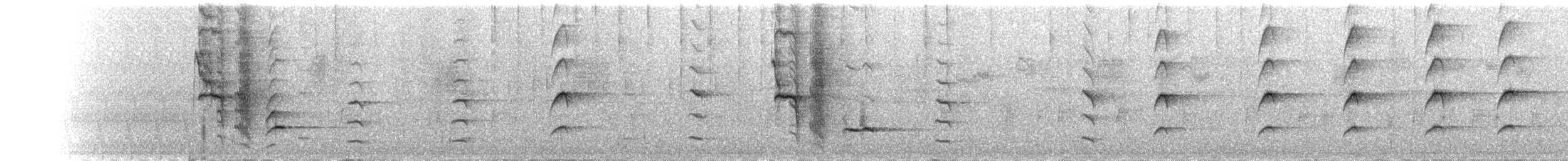 Crested Drongo - ML644371117