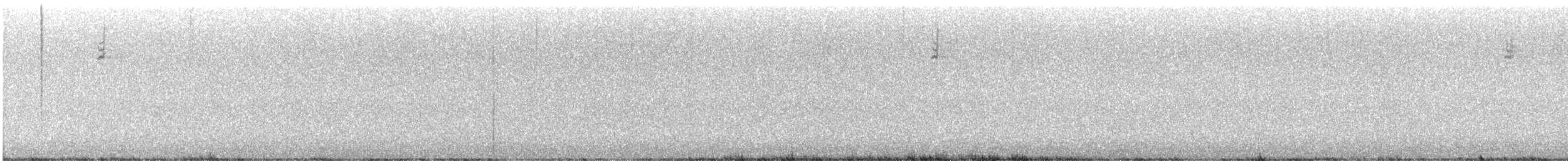 ウスヒメドリ - ML644371160