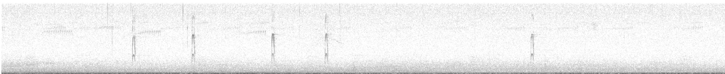 Ladder-backed Woodpecker - ML644371357