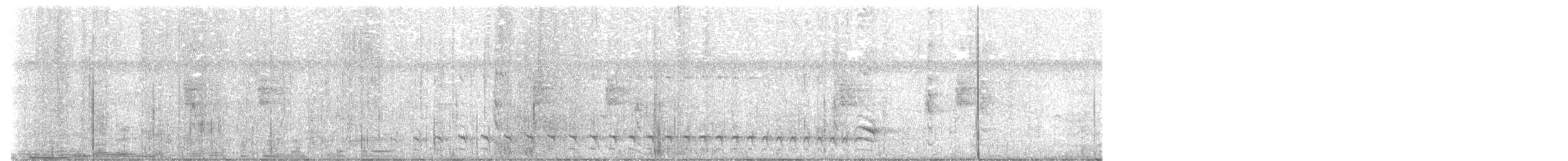 シマアリモズ（doliatus グループ） - ML644372664