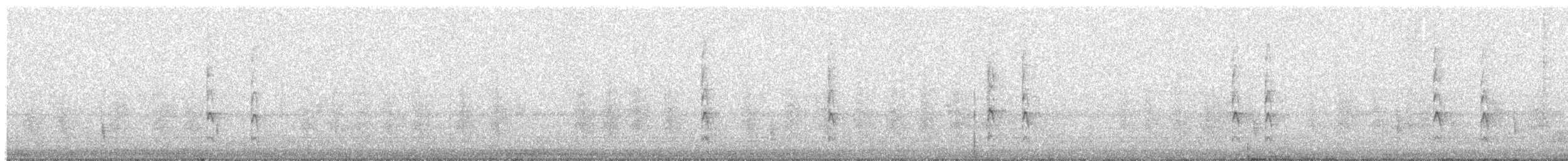 フユミソサザイ - ML644373071