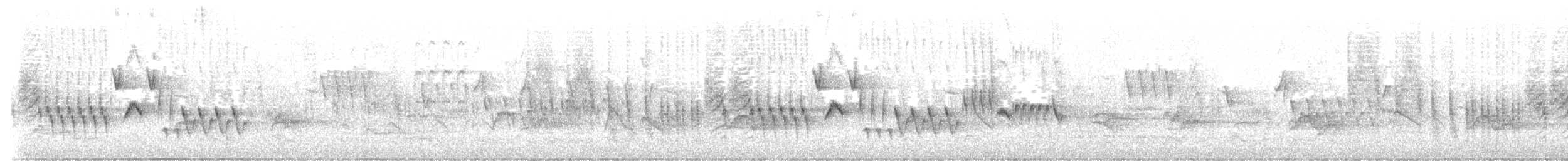 Southern House Wren - ML644373524