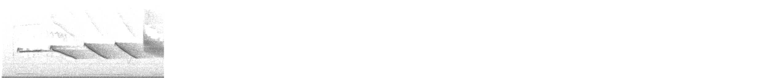 アカエリシトド - ML644373720