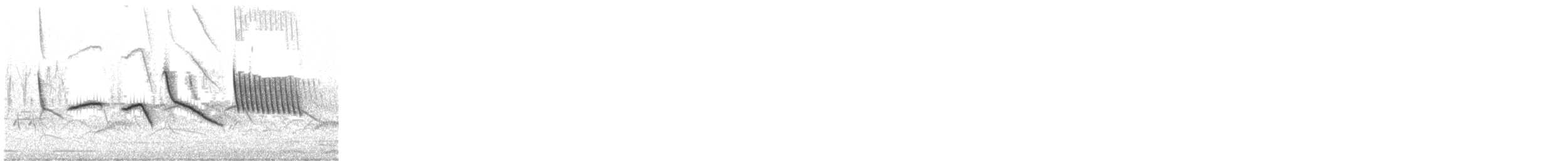 アカエリシトド - ML644373721