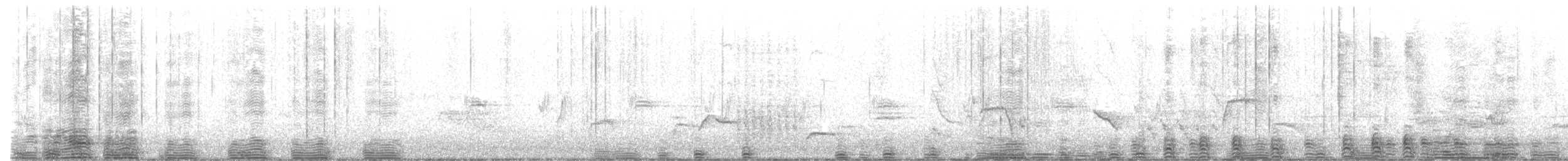 Black-faced Ibis - ML644374063