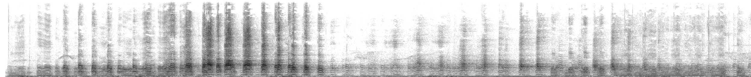 Black-faced Ibis - ML644374064