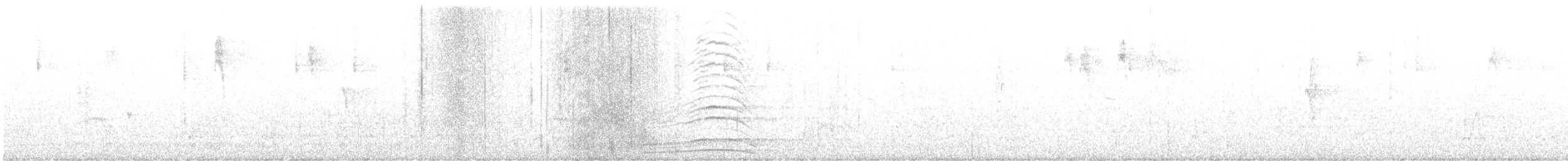 Wood Duck - ML644374272