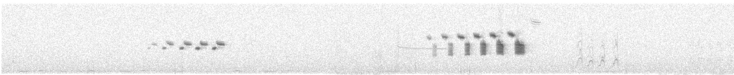 Berdantza kaskazuria - ML644374752