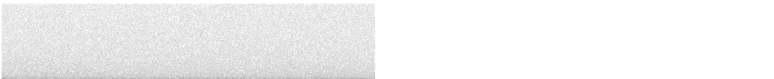 new world warbler sp. - ML644374873