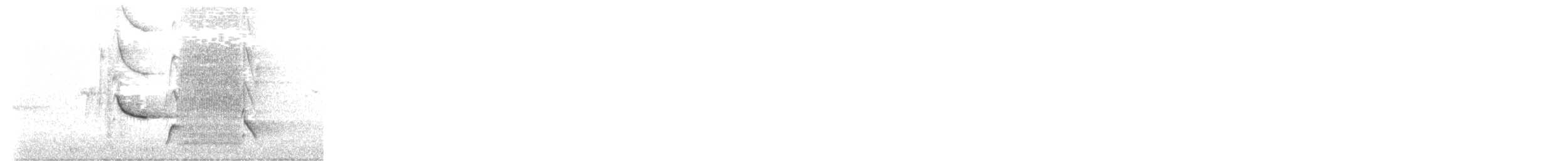 Austral Blackbird - ML644374988