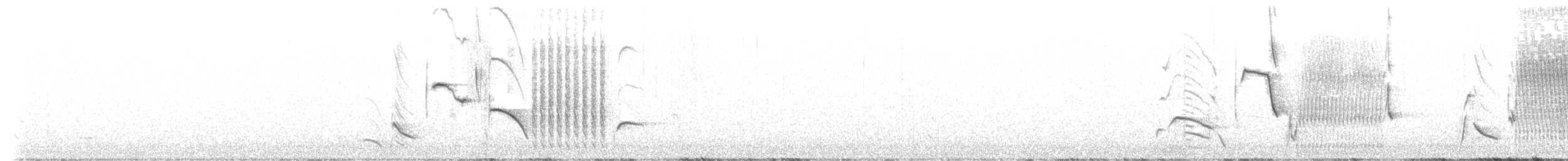 Austral Blackbird - ML644374990