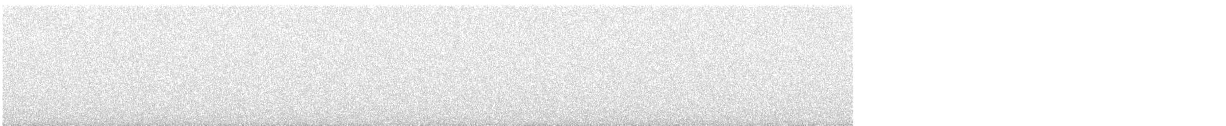 new world warbler sp. - ML644375110