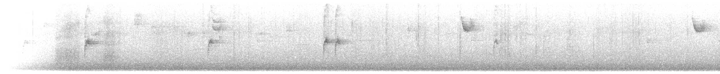 White-throated Sparrow - ML644375586