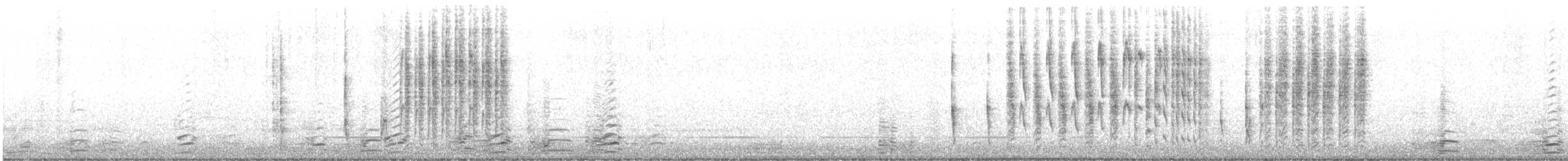 Marsh Wren - ML644376071