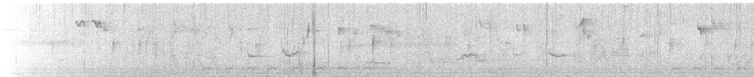 Vireo Solitario - ML644376082