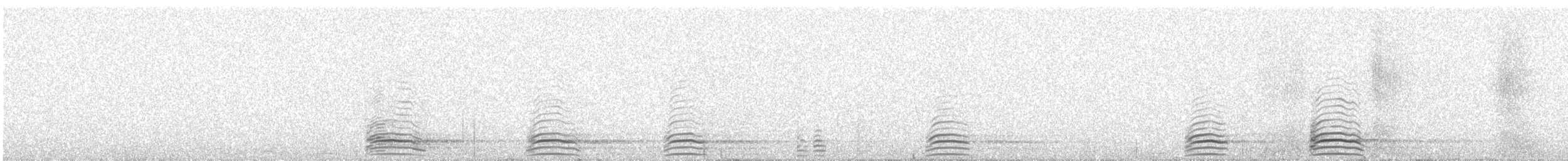 Ruddy Shelduck - ML644376531