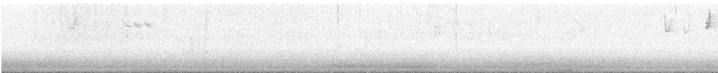 Chipping Sparrow - ML644377803