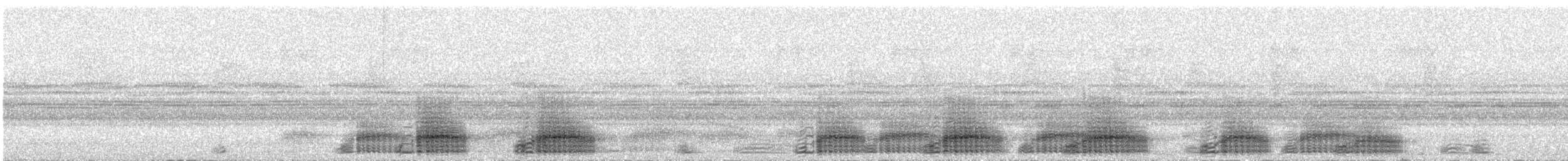 Basin Tree Frog - ML644379183