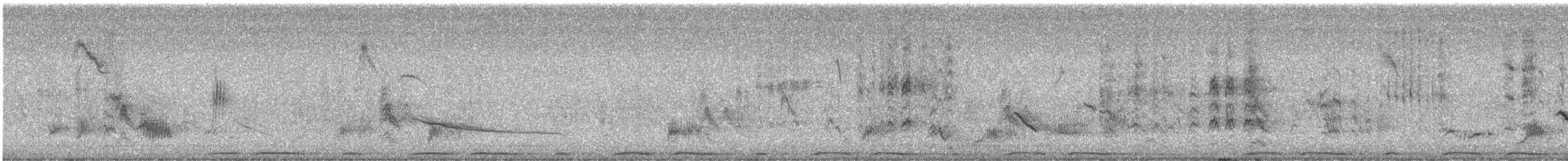 シラコバト - ML644379842