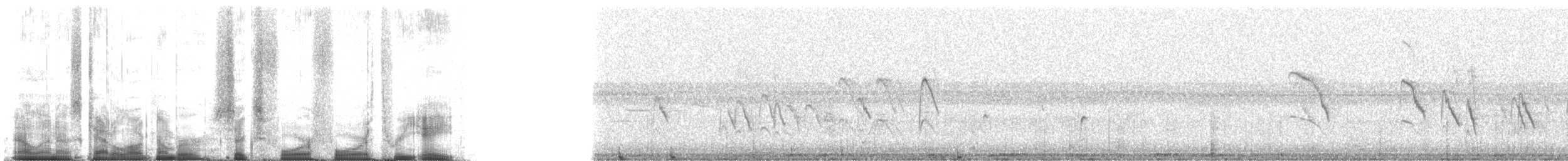 Fiji White-eye - ML64438