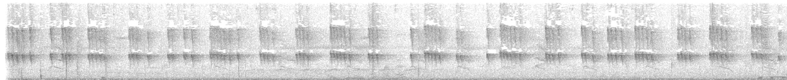 Wedge-tailed Sabrewing - ML644380809