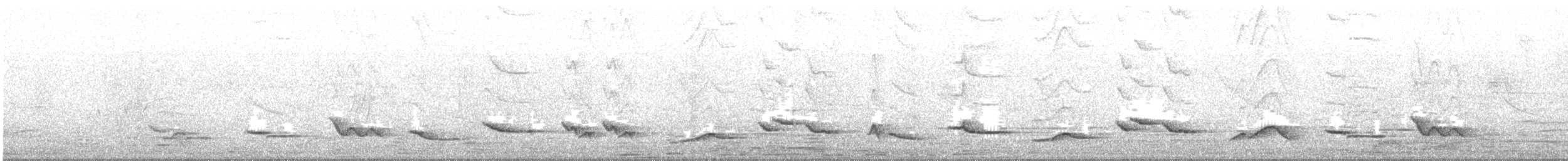 Ecuadorian Thrush - ML644381092