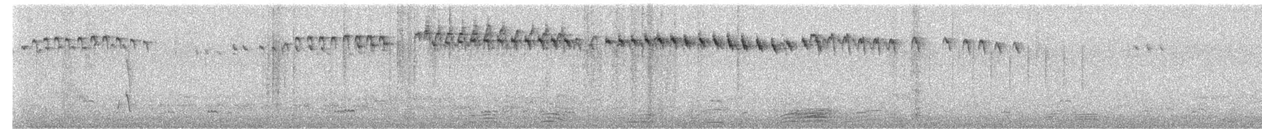 Wren-like Rushbird - ML644381148