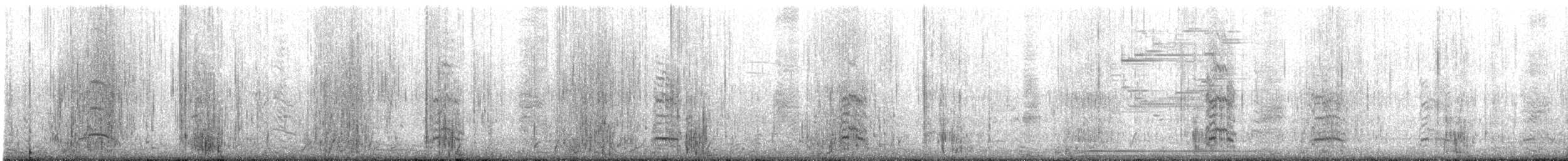 Andean Gull - ML644381237