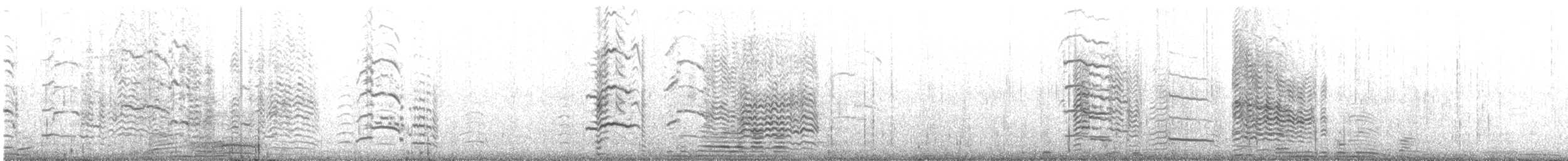 Goéland siméon - ML644381243