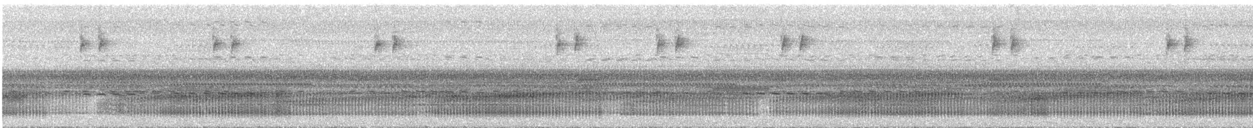 Eirunepe Snouted Tree Frog - ML644381272