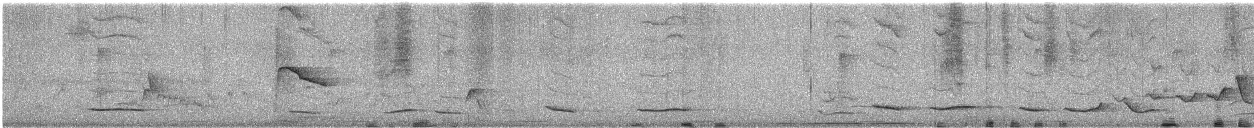 Schwarzkopftrupial (graduacauda/audubonii) - ML644381893