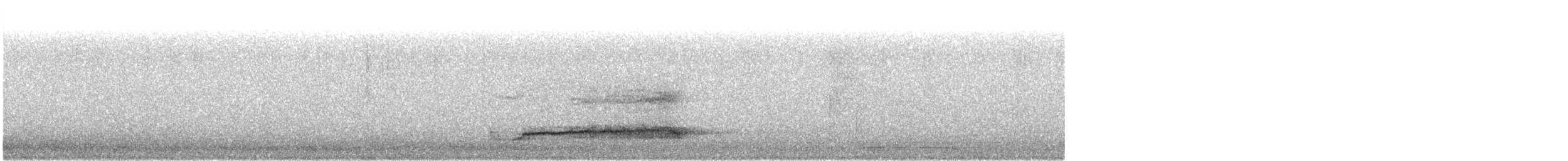 Western Barn Owl - ML644382776