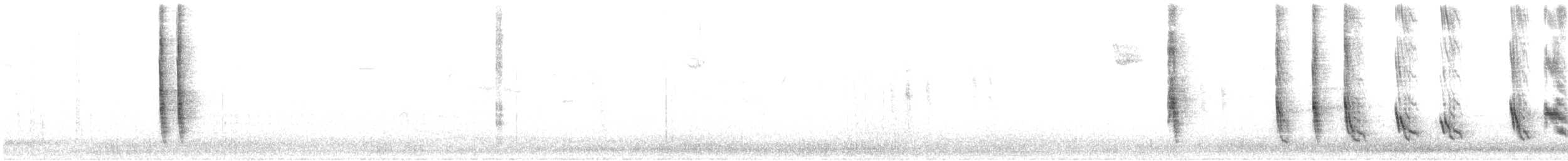 Northern Mockingbird - ML644383036