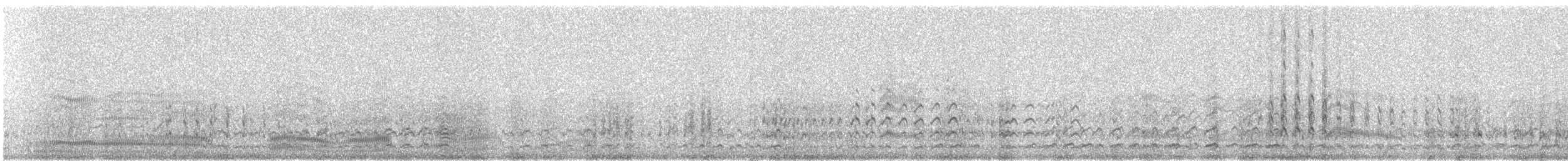 ハジロオオシギ - ML644383569