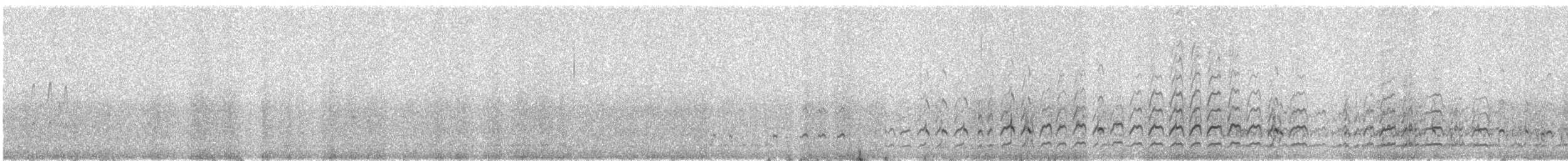 ハジロオオシギ - ML644383577