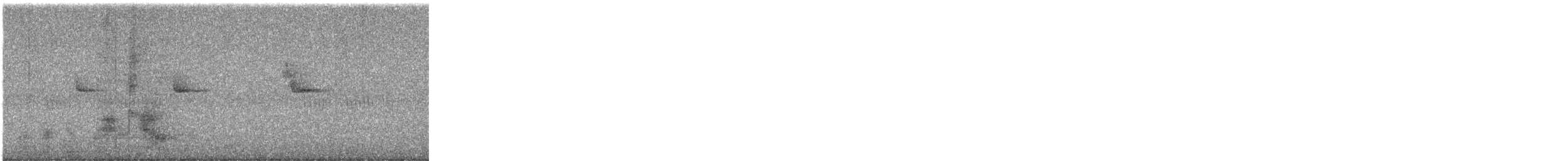 タンシキバシリ - ML644384005