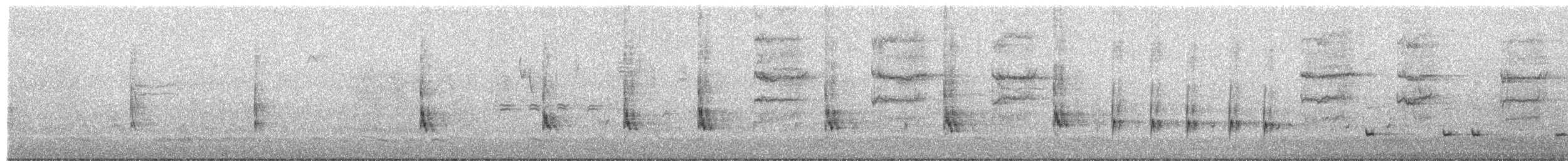 Northern Mockingbird - ML644384196