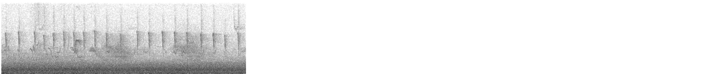 Geai de Steller - ML644384767