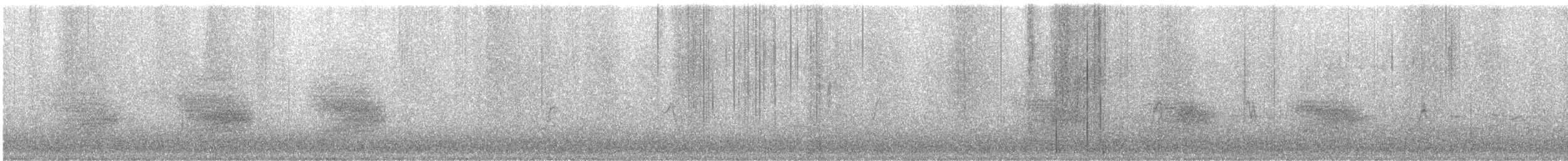 Geai de Steller - ML644384769