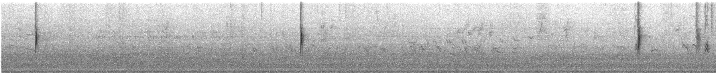 Paruline à croupion jaune (auduboni) - ML644384794