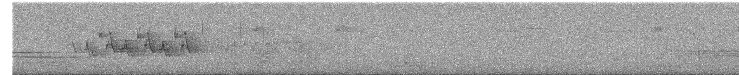 nordgulstrupe - ML644385258