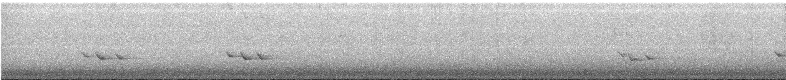 Смеречник тайговий - ML644385808