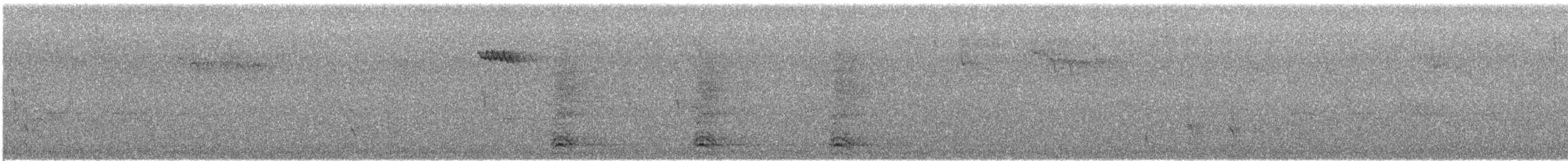 Brown Creeper - ML644386120